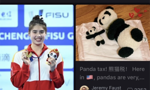 当国宝遇上非遗：爱上淘宝的熊猫公益，网友表示根本停不下来！